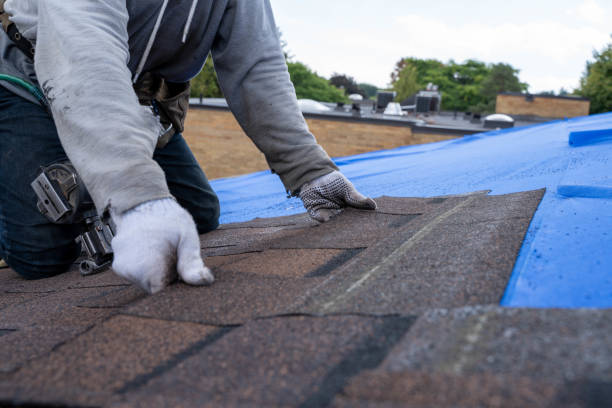 Best Storm Damage Roof Repair  in Chatsworth, IL